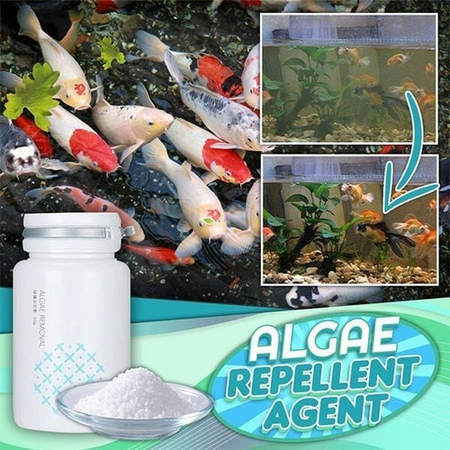 🔥Hot Sale 50% OFF -NEW Algae Repellent Agent