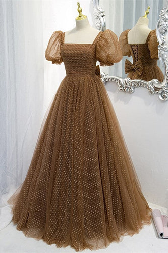 Sweet Brown A-line Tulle Polk Dots Long Formal Dress