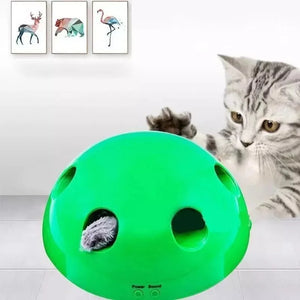 Interaktives Katzenspielzeug mit Bewegung