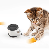 Irregular Cat Toy Rotating Ball Self-Balance Wheel Pet Toy Cute Interactive Toys Funny Kitty Toys Pet Supply