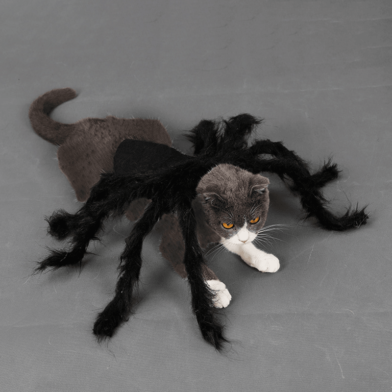Pet Halloween Funny Spider Clothes Cat Dog Horror Simulation Plush Spider Clothes for Party Dress