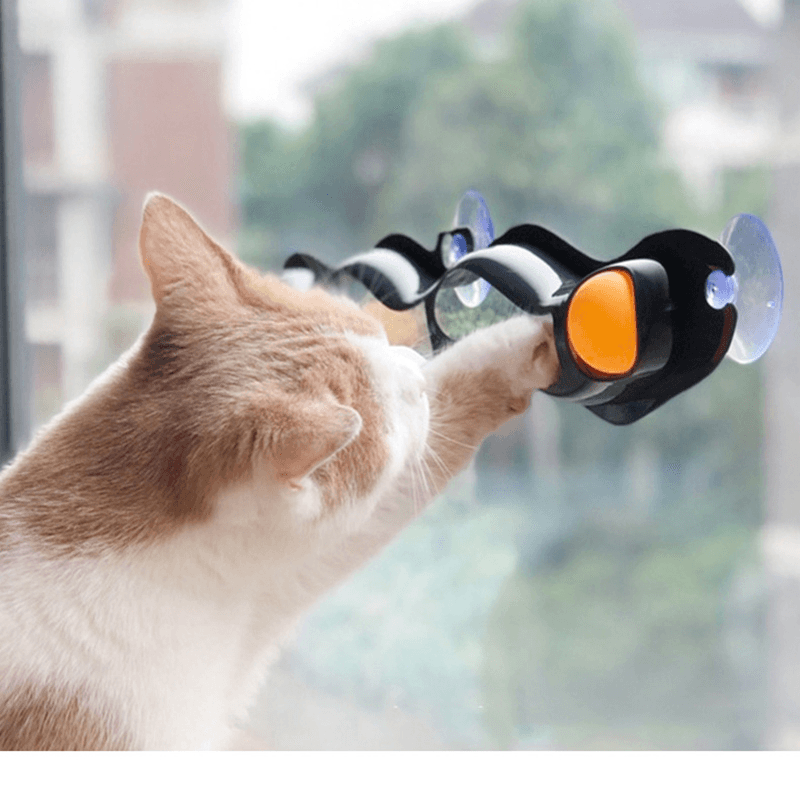 Suction Cup Pet Cat Tunnel Training Toy Table Tennis Cat Training Tunnel Pet Toys