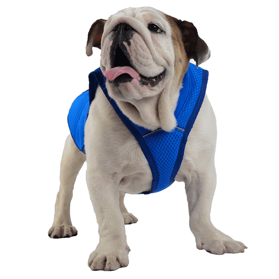 Pet Dog Summer Cool Vest Breathable Comfortable Sunscreen Cooling Clothes Jacket Pet Vest