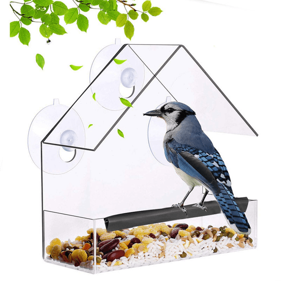 Plastic Transparent Bird Wild Parakeet Feeder Bird Hanging Feeding Tool for Garden Yard Decoration