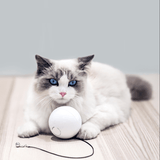 Homerun Smart Interactive Pet Toys Automatic 360 Degree Self Rotating Ball Toys with Bell Built-In Spinning Eye-Protection LED Cat Toy from Eco-System