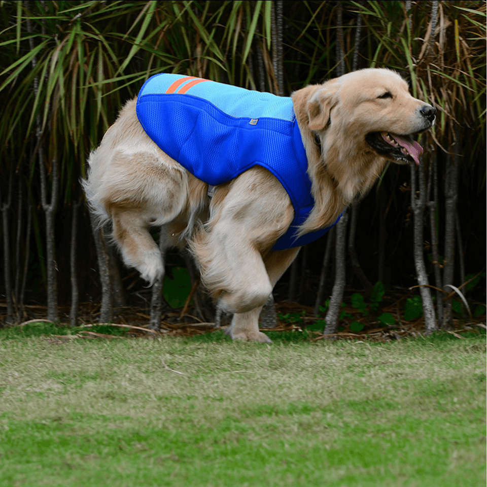 Pet Dog Summer Cool Vest Breathable Comfortable Sunscreen Cooling Clothes Jacket Pet Vest