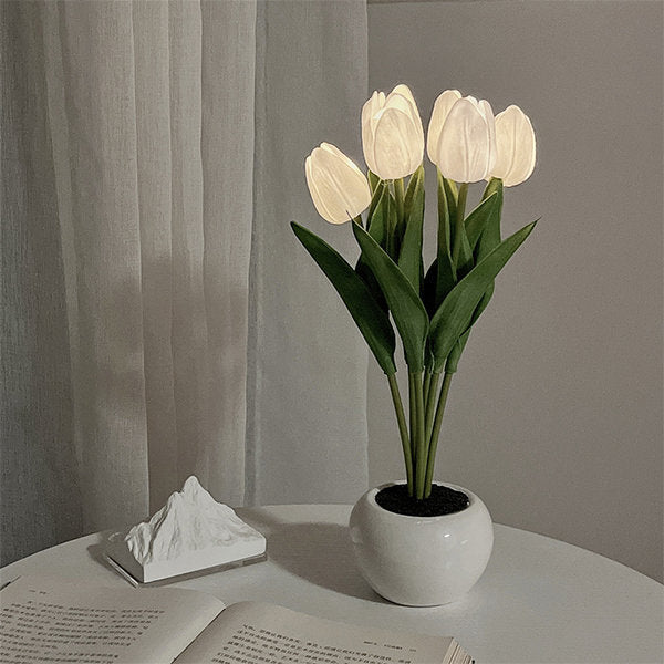 Luce notturna a tulipano