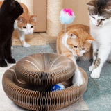 PetStory™ Cat toy