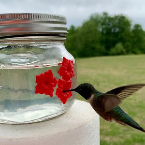 【50% OFF】Mason Jar Hummingbird Feeder