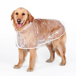 perro impermeable