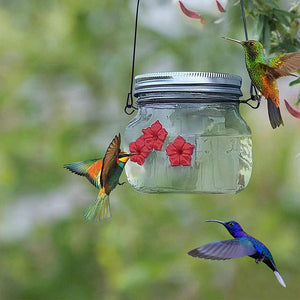 【50% OFF】Mason Jar Hummingbird Feeder