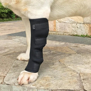 Dog Knee Pads Protector