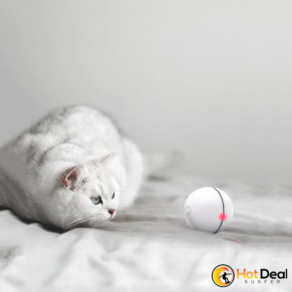Magischer Katzen-LED-Ball