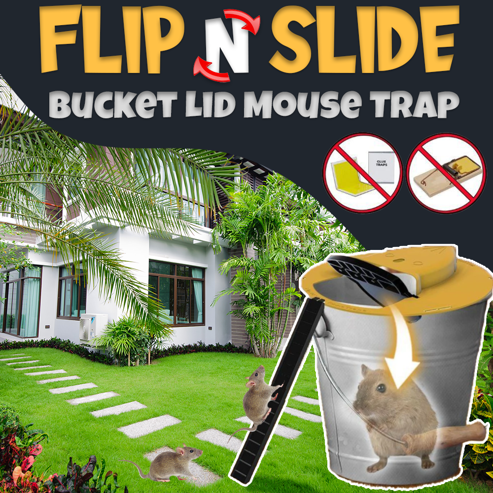 Flip N Slide Mouse Trap