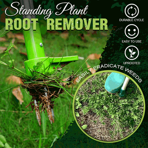 Standing Plant Root Remover【50% OFF Ends Today】