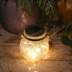 Modern Round Glass Jar Garden Hanging Lamp